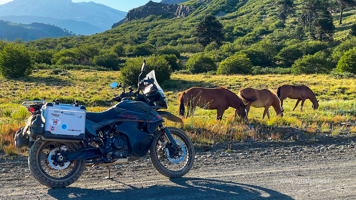 Motorcycle with three horses, Argentina