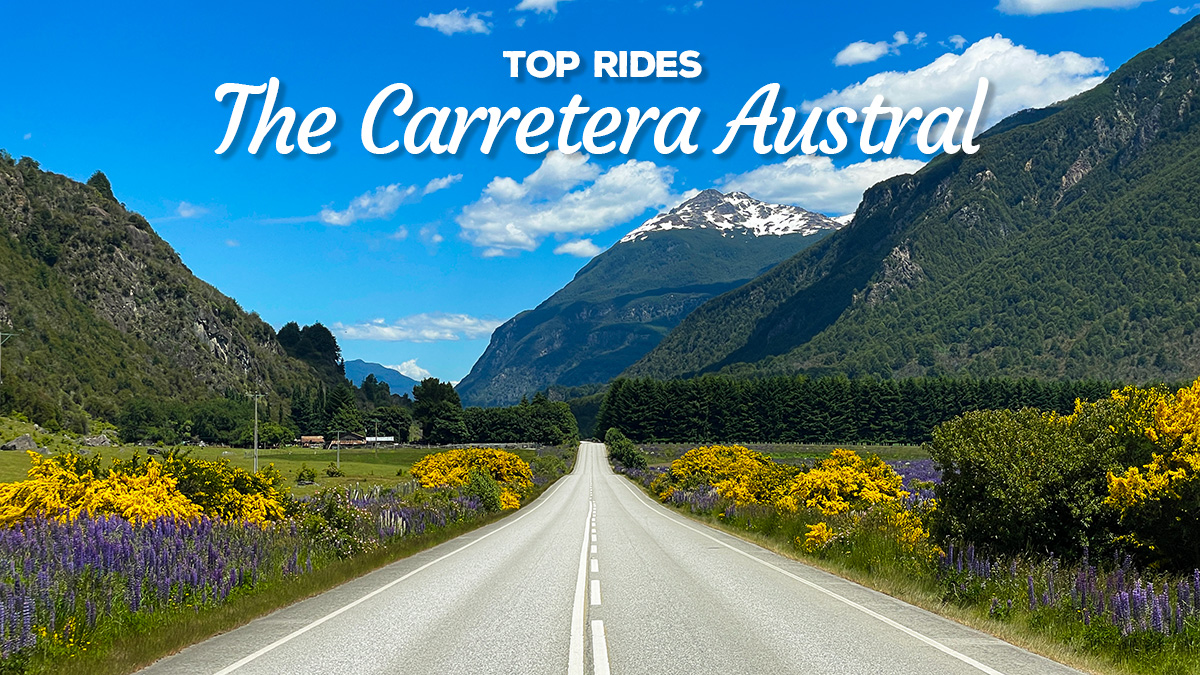 A photo of the Carretera Austral road showing snow-capped mountains and spring wild flowers.
